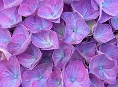 MY BEAUTIFUL RIVIERA - Lente MY BEAUTIFUL RIVIERA - Lente